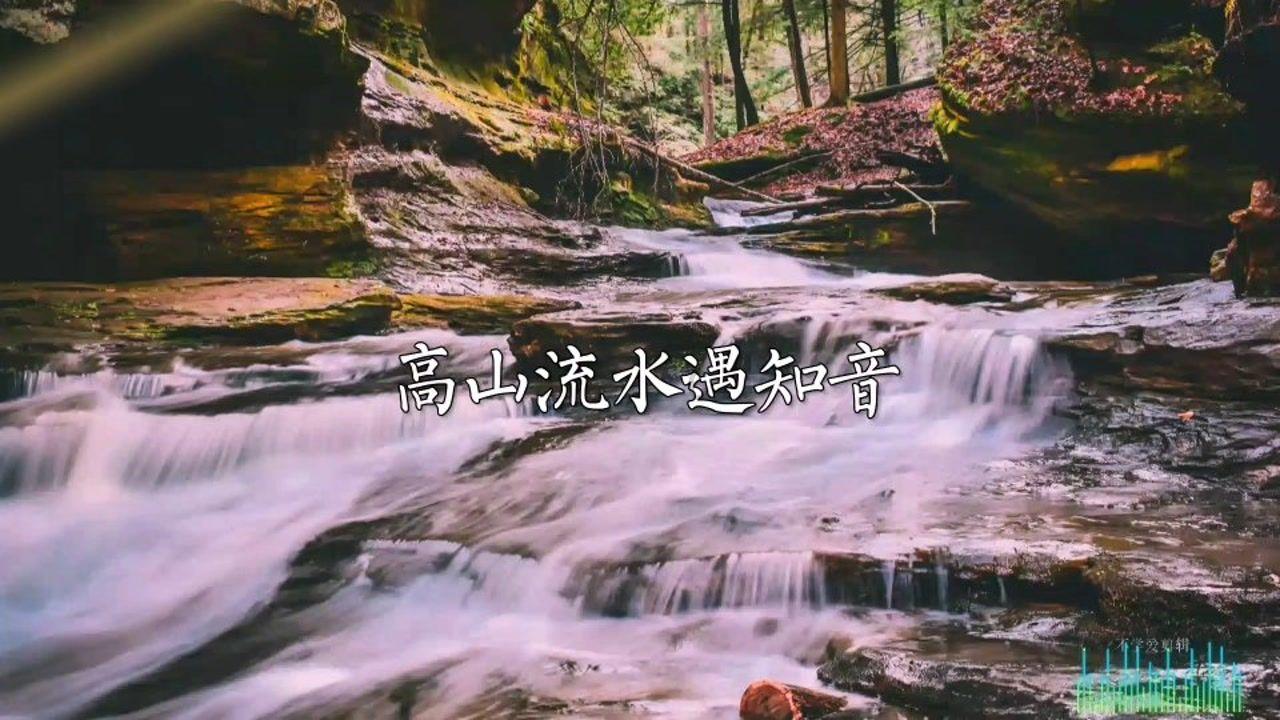 月光影视